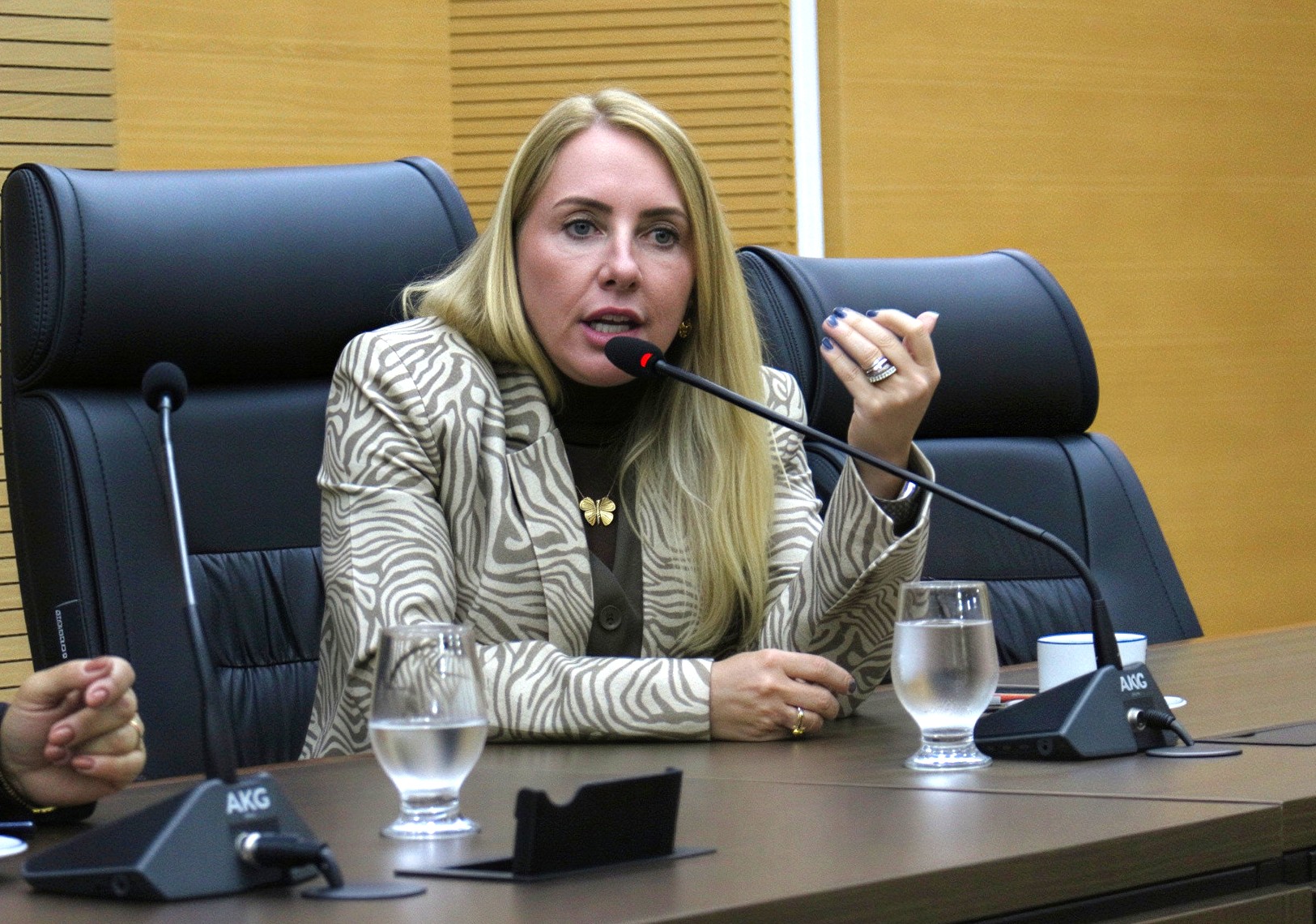 Ieda Chaves propõe internet por fibra óptica em escolas estaduais de Rondônia