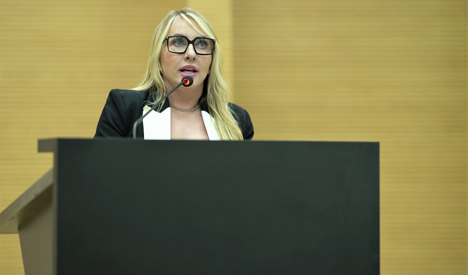 Ieda Chaves solicita R$ 1 milhão para reforçar atendimento em Cabixi e Vale do Anari