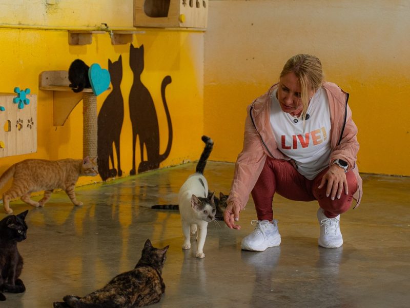 Ieda Chaves doa salário e destina mais de R$ 2,3 milhões para a causa animal em Rondônia