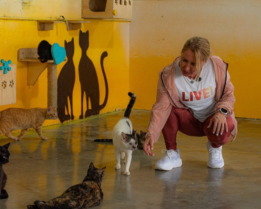 Ieda Chaves doa salário e destina mais de R$ 2,3 milhões para a causa animal em Rondônia