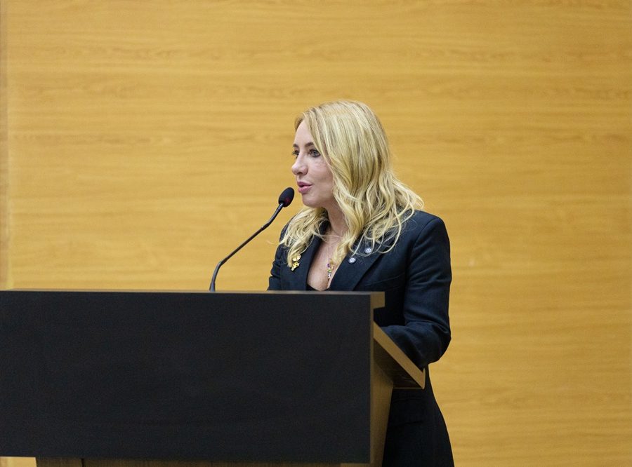 Ieda Chaves solicita ao DER/RO recuperação urgente da RO-370 entre Corumbiara e a BR-435