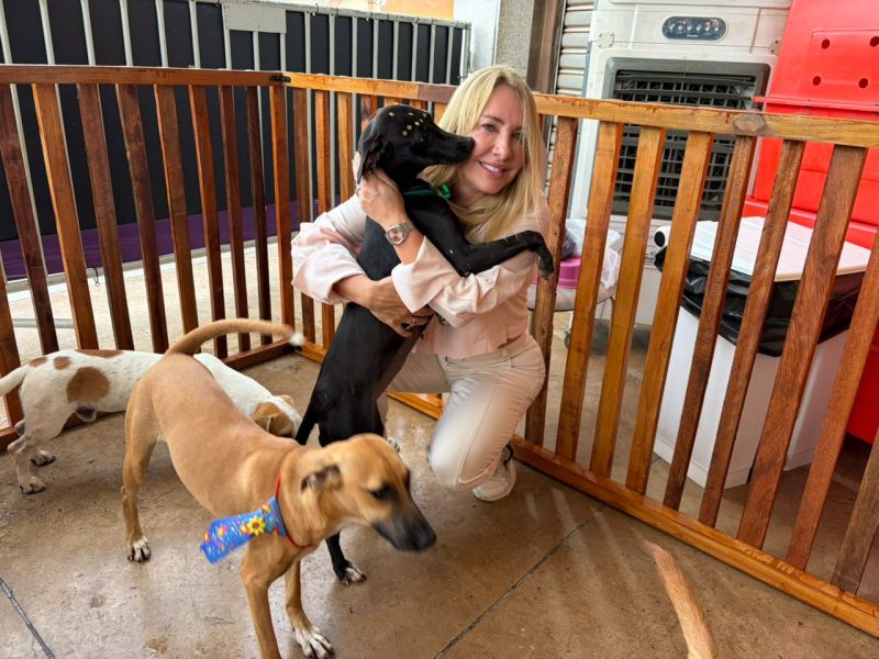 Ieda Chaves prestigia feira de adoção pet em Porto Velho com dezenas de animais acolhidos