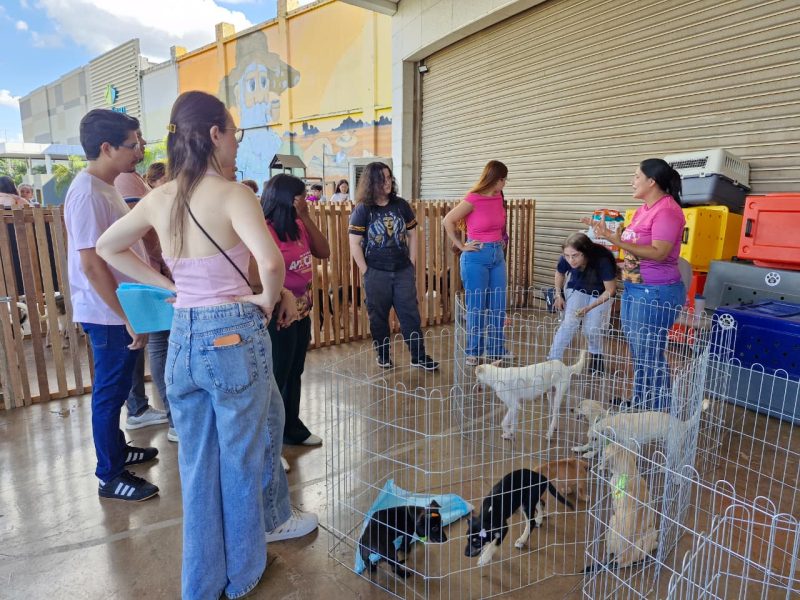 Ieda Chaves participa de feira de adoção de animais que garante 97 lares em Porto Velho