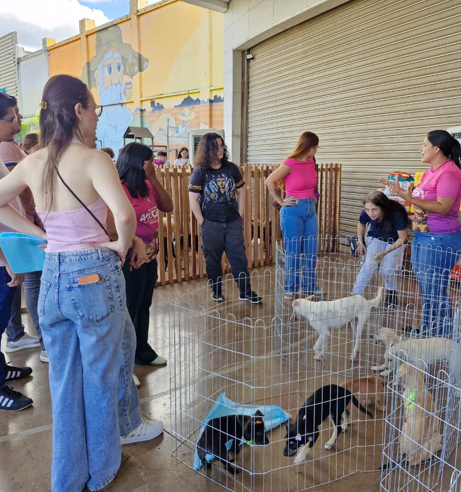 Ieda Chaves participa de feira de adoção de animais que garante 97 lares em Porto Velho