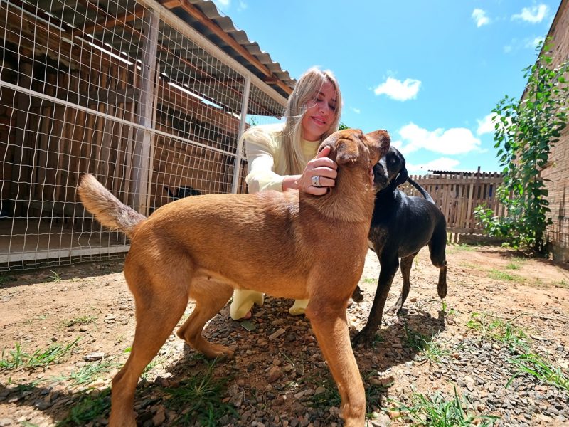 Ieda Chaves obtém aprovação de lei que reconhece tutores voluntários e protege animais