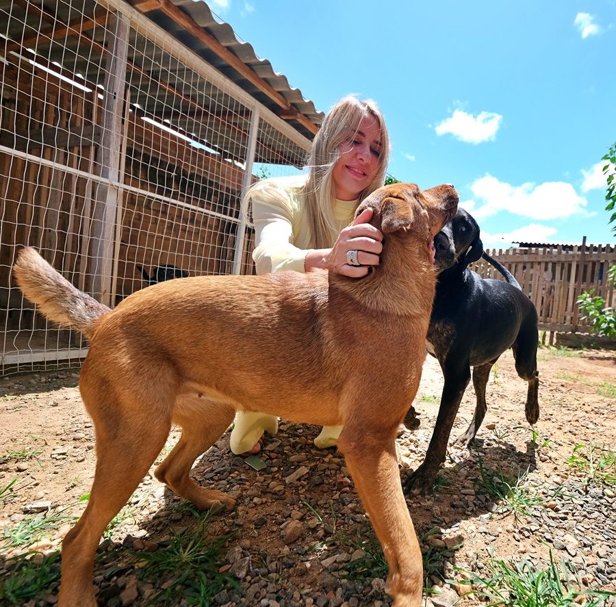 Ieda Chaves obtém aprovação de lei que reconhece tutores voluntários e protege animais