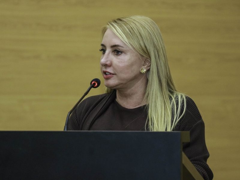 Ieda Chaves propõe Observatório da Mulher para viabilizar ações contra a violência de gênero