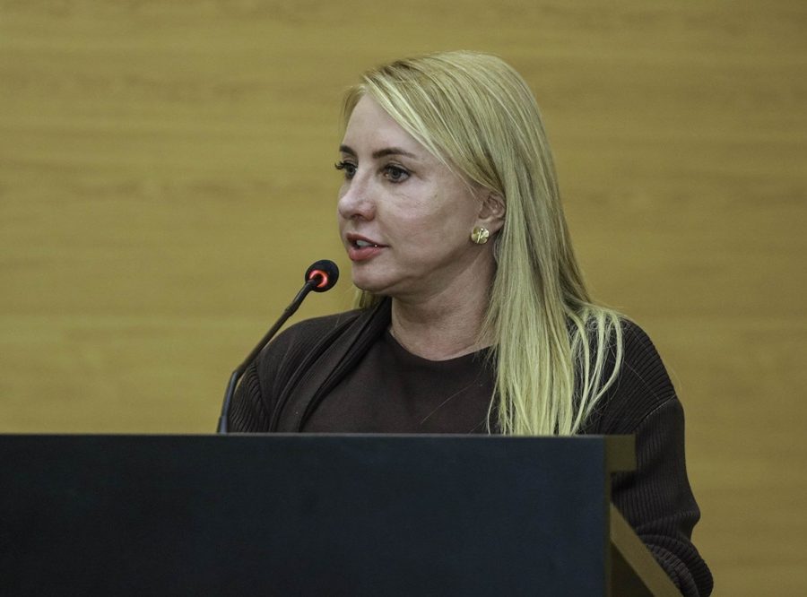 Ieda Chaves propõe Observatório da Mulher para viabilizar ações contra a violência de gênero